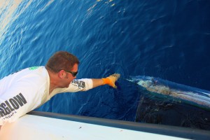 Boca Raton Fishing Charters