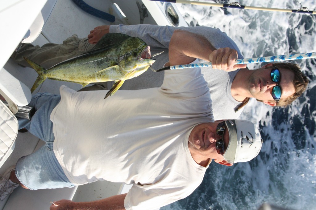 01/20/14 Boca Raton Fishing Report: Sailfish, Amberjack, Mahi Mahi, Top List For Offshore Charters