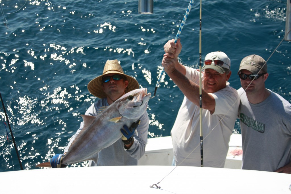 01/20/14 Boca Raton Fishing Report: Sailfish, Amberjack, Mahi Mahi, Top List For Offshore Charters