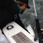 01/06/14 Boca Raton Fishing Report: Tarpon And Jacks Biting For Inshore Charters