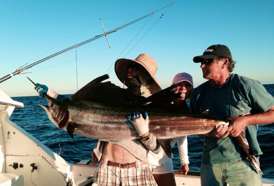 02/19/14 Boca Raton Fishing Report: Sailfish, Dolphin, And Kingfish Biting For Billy Goat Charters