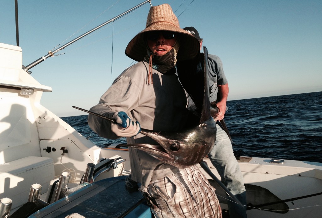 02/19/14 Boca Raton Fishing Report: Sailfish, Dolphin, And Kingfish Biting For Billy Goat Charters