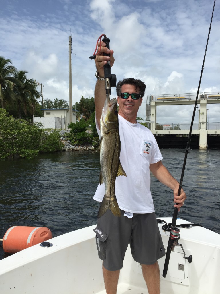 Boca Raton Fishing Report: Snook Bite For Inshore Charters, Goliath Grouper, Wahoo, And Bonito Offshore