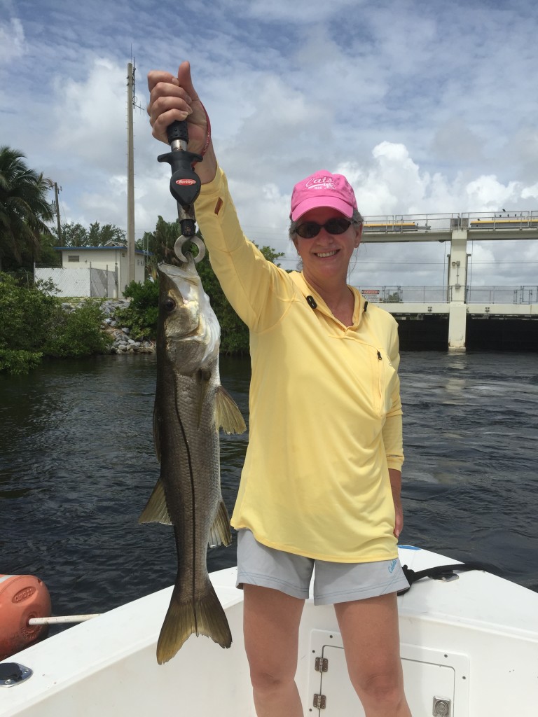 Boca Raton Fishing Report: Snook Bite For Inshore Charters, Goliath Grouper, Wahoo, And Bonito Offshore