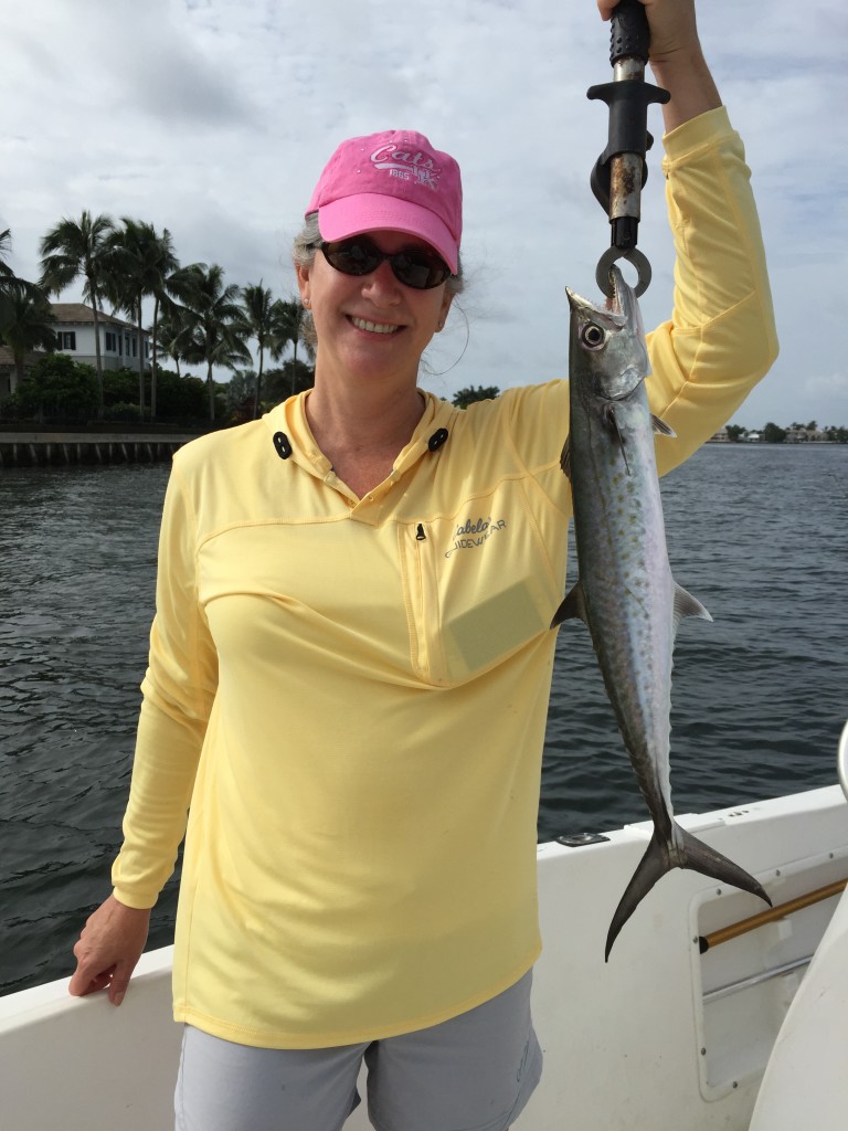 Boca Raton Fishing Report: Snook Bite For Inshore Charters, Goliath Grouper, Wahoo, And Bonito Offshore