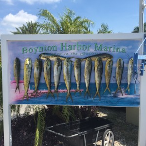 Local Deep Sea Trips: Bolo Fishing Charters Offers $99 Half Day Split Trips