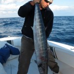 Best Wahoo Fishing Charter Captain In Florida- Capt. Chris Agardy