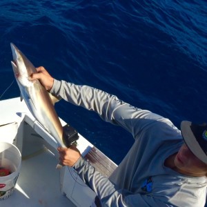 Boca Raton Shark Fishing
