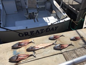 We ended up with 6 bonitos and 1 kingfish during yesterday's morning charter...