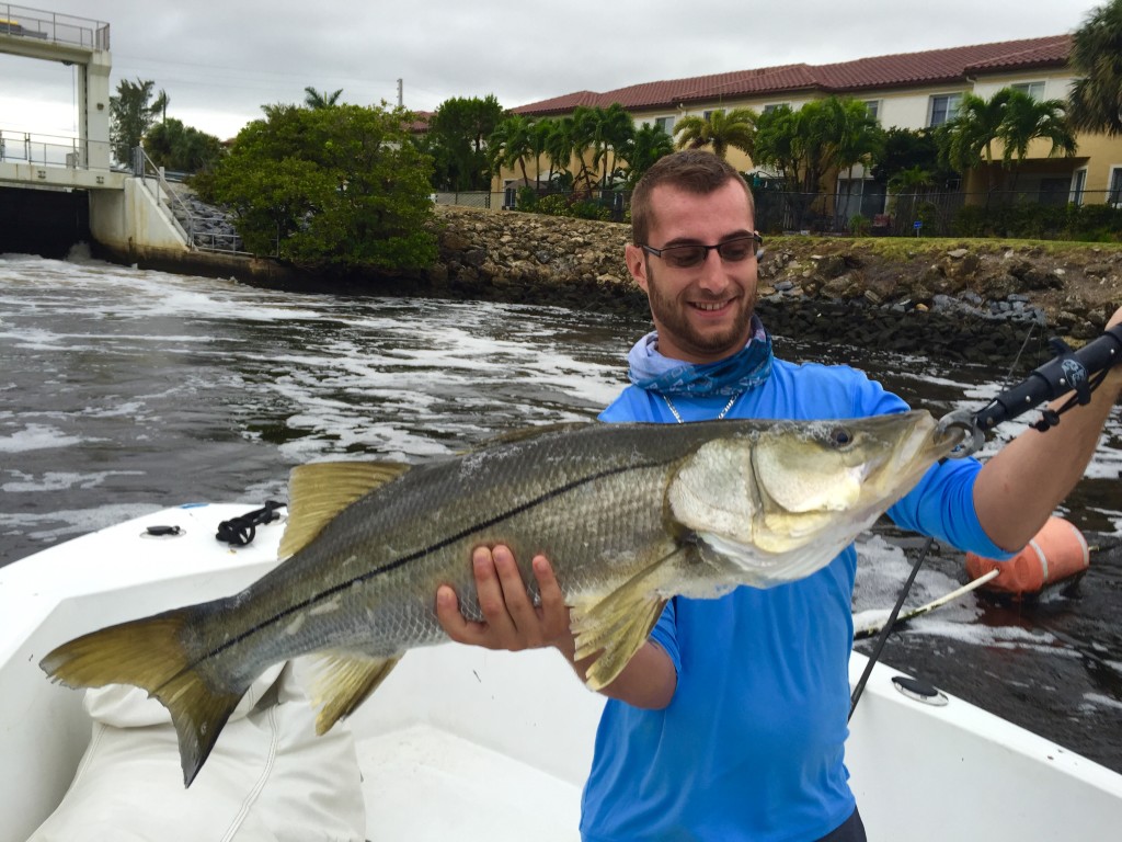 March 30- On a rainy morning, we caught 7 nice snook while fishing near the Boynton Beach spillway canal. Here is customer David with a nice 36" snook that we released to catch again another day.