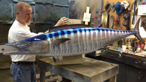 wahoo-shop1