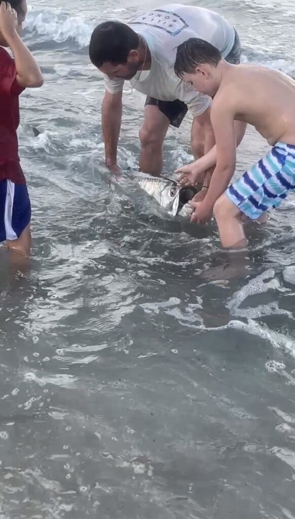 Beach Tarpon Fishing – $80 Per Hour